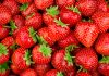 Fragola