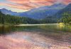 Foresta-Trentino2-AM