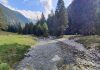 Foresta-Trentino3-AM