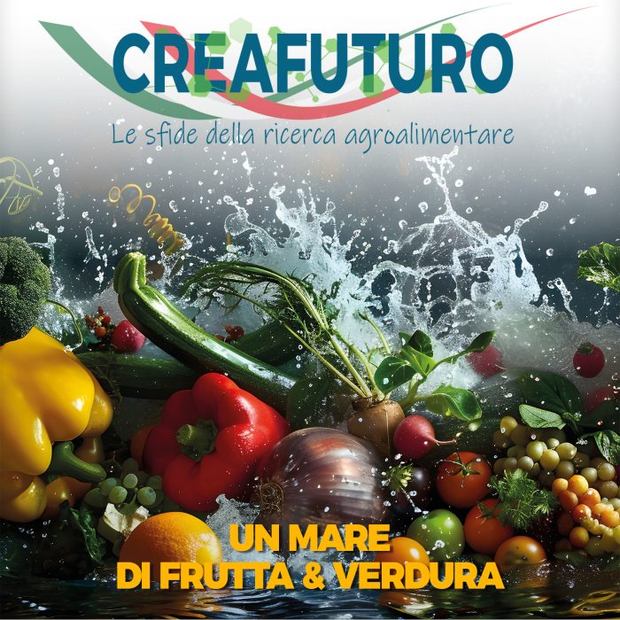Copertina n