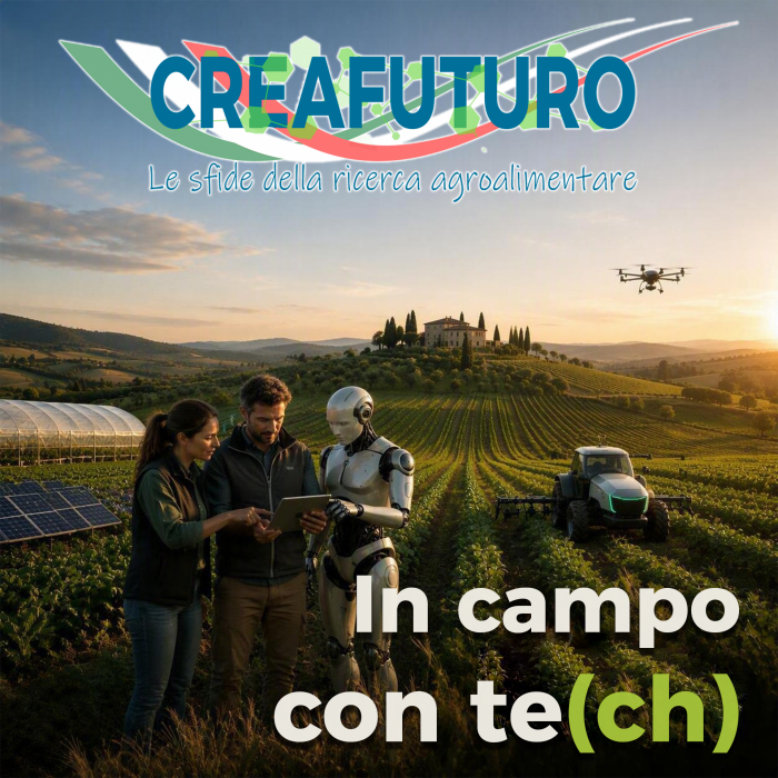 Copertina DEF